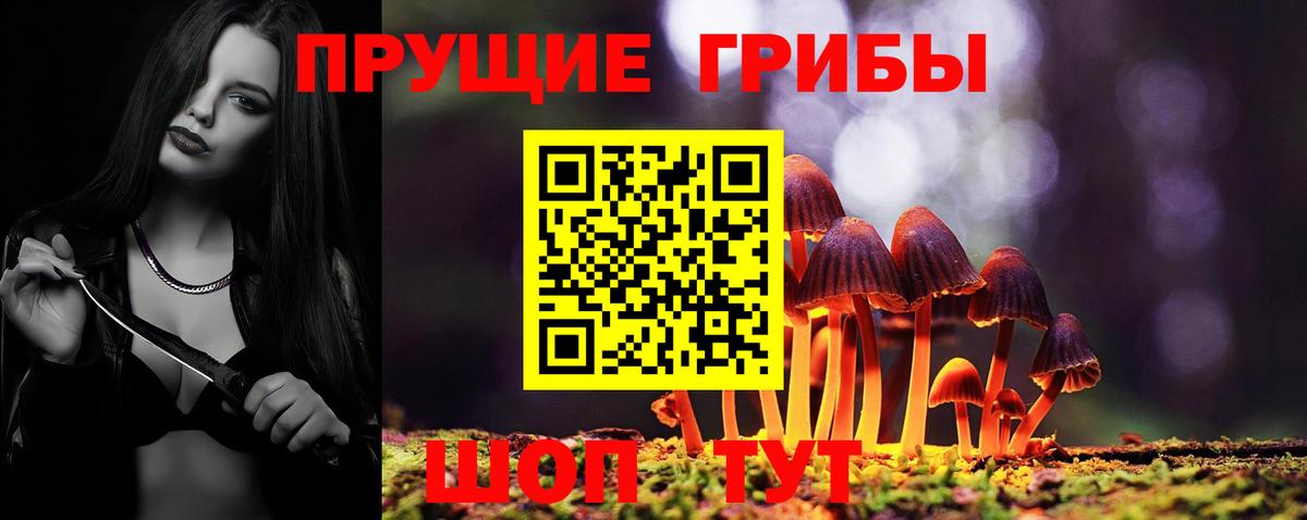 Псилоцибиновые грибы мицелий  Вход с VPN  Ливны  Псилоцибиновые грибы прущие грибы 